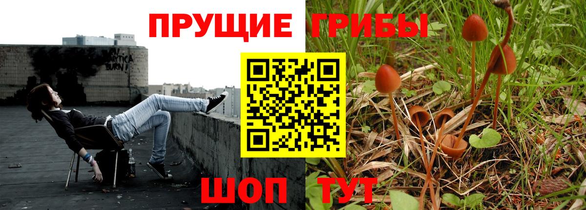 Псилоцибиновые грибы Psilocybine cubensis  Вход с VPN  Морозовск 
