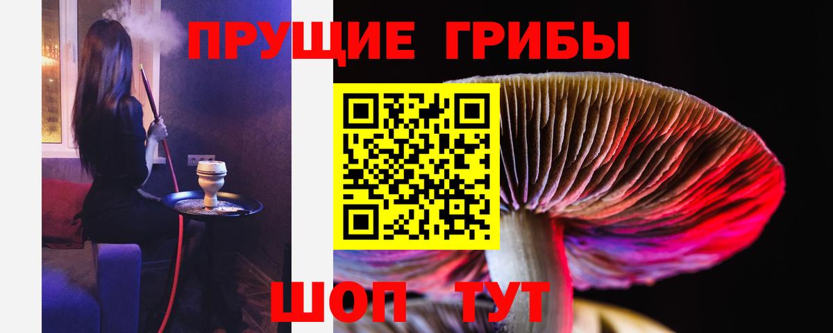 Галлюциногенные грибы ЛСД Морозовск